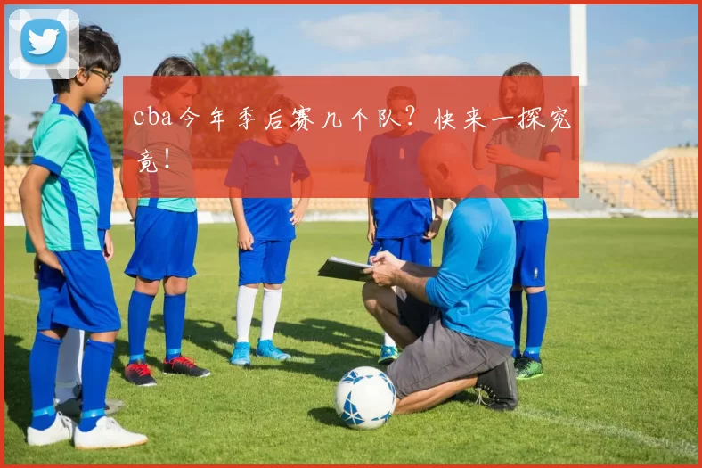 cba今年季后赛几个队？快来一探究竟！