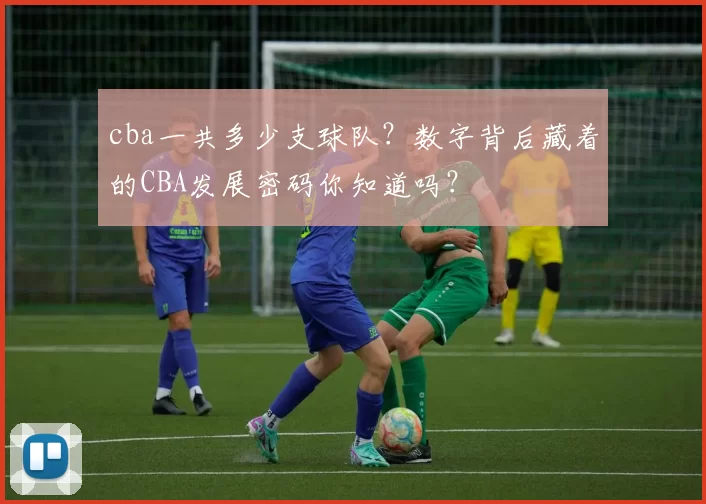 cba一共多少支球队？数字背后藏着的CBA发展密码你知道吗？