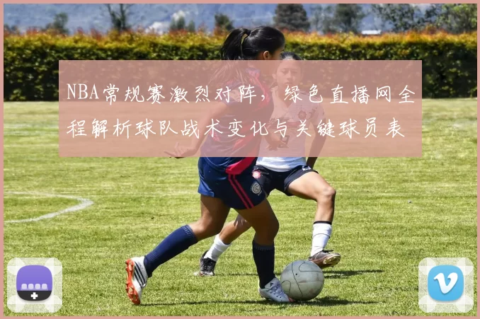 NBA常规赛激烈对阵，绿色直播网全程解析球队战术变化与关键球员表现