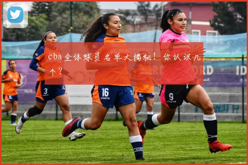 cba全体球员名单大揭秘！你认识几个？