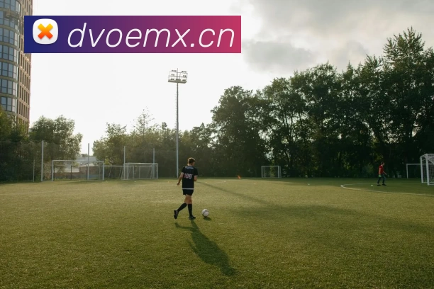 九游官网网页入口平台生态图