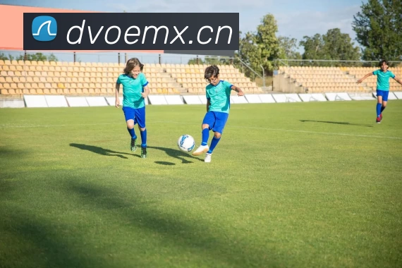 九游官网网页入口APP 封面图